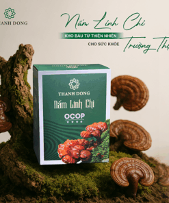 Nấm Linh Chi Cắt Lát Thành Đồng