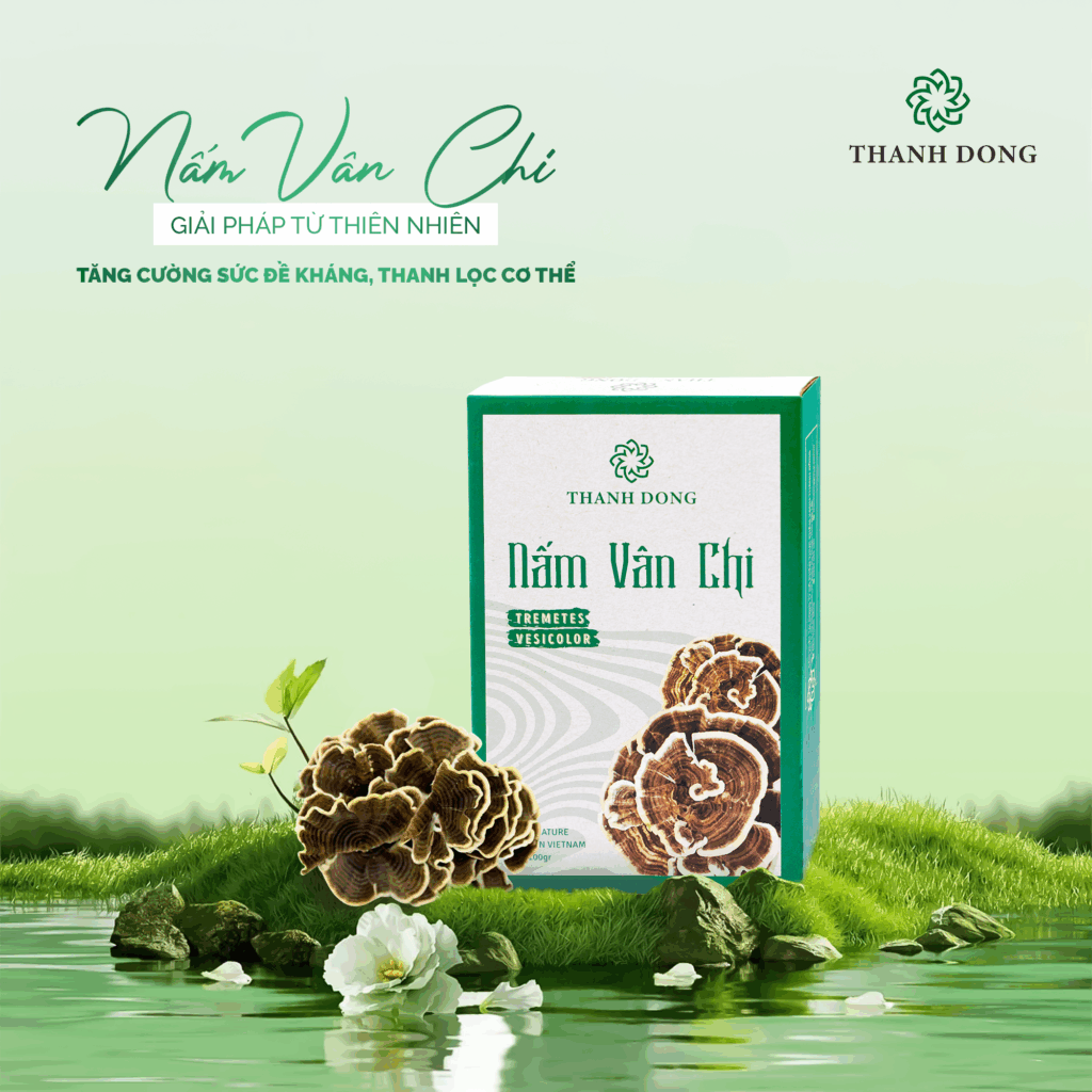Nấm Vân Chi Thành Đồng