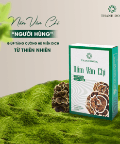 Nấm Vân Chi Thành Đồng