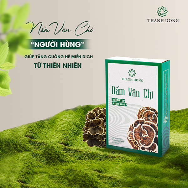 Nấm Vân Chi Thành Đồng