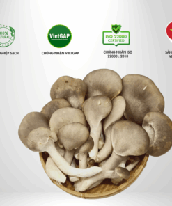 Nấm Bào Ngư Xám Thành Đồng