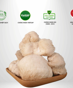 Nấm Đầu Khỉ Thành Đồng