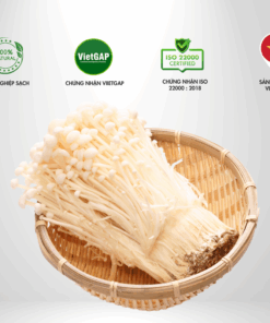 Nấm Kim Châm Thành Đồng