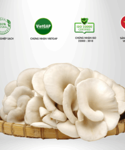 Nấm Sò Thành Đồng