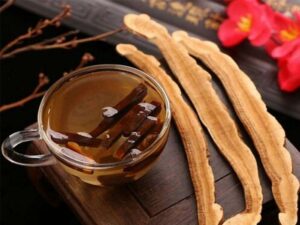 Liều lượng dùng nấm linh chi mỗi ngày