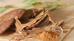 Nấm linh chi chữa bệnh gì