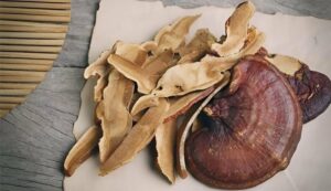 Mua nấm linh chi ở đâu tốt?