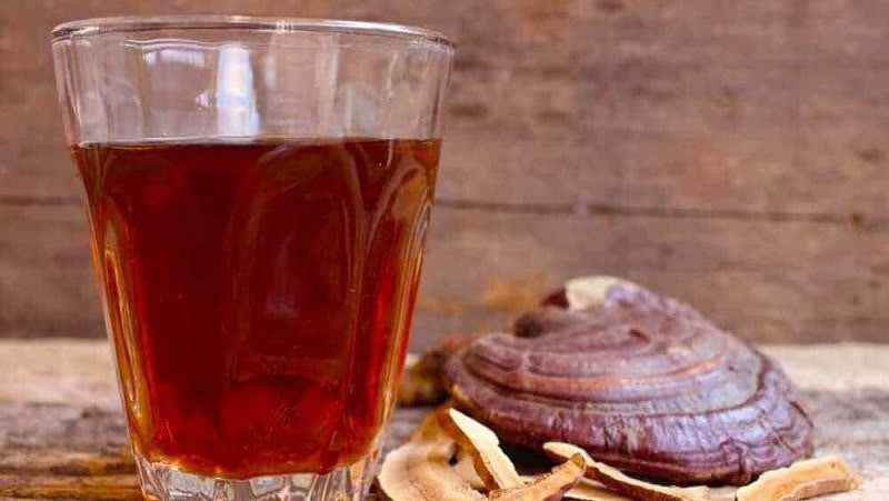 Rượu nấm linh chi nguyên chất giúp tăng cường sinh lực, giảm đau nh