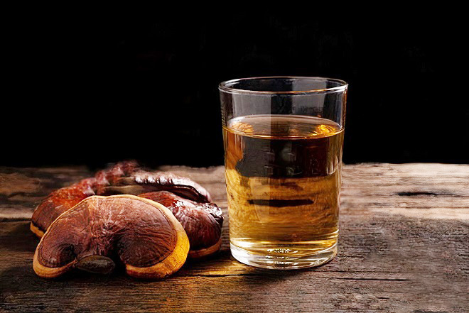 Rượu nấm linh chi  khai thác triệt để những tinh hoa của nấm