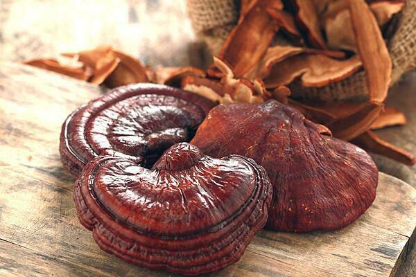 Tăng Cường Hệ Miễn Dịch Vượt Trội