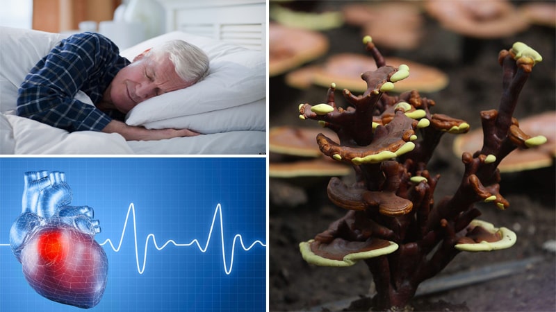 Công Dụng Của Nấm Linh Chi: Giảm Căng Thẳng, Cải Thiện Giấc Ngủ