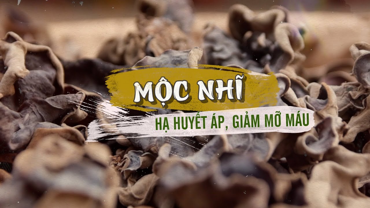 nấm mèo giúp phòng ngừa các bệnh tim mạch, xơ vữa động mạch, và hạn chế nguy cơ nhồi máu cơ tim hay tai biến