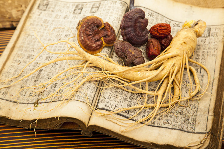 Nấm linh chi ngâm rượu với sâm là một bài thuốc bổ kinh điển trong Đông y